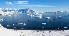 南极游客人数突破5000人，中国超澳大利亚成南极